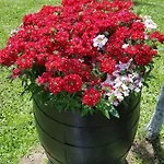 Casa vacanze костови 2 *