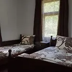 костови 2 *