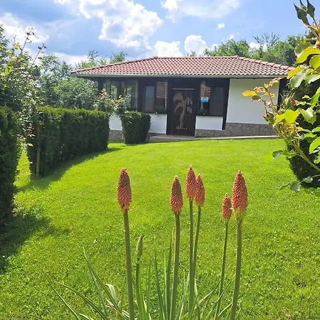 костови 2 Ferienhaus *